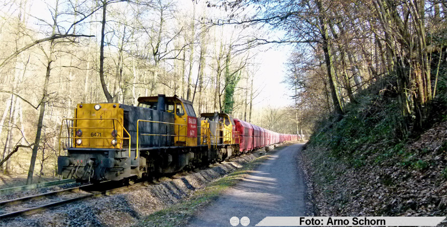 copyright: Arno Schorn