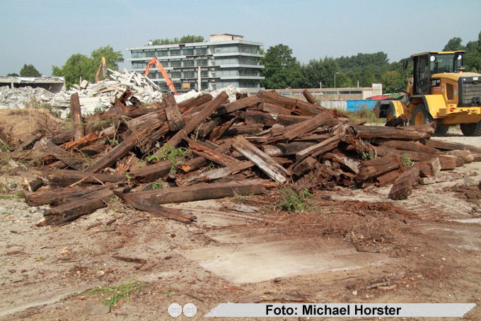 copyright: Michael Horster
