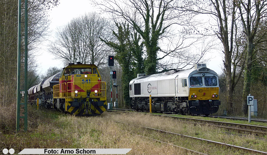 copyright: Arno Schorn