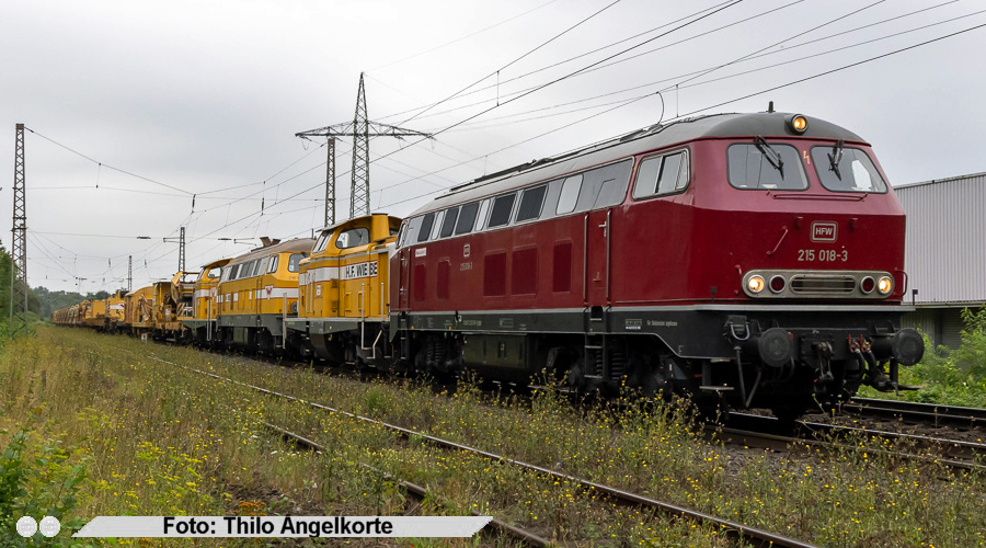 copyright: Thilo Angelkorte