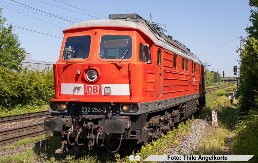 copyright: Thilo Angelkorte