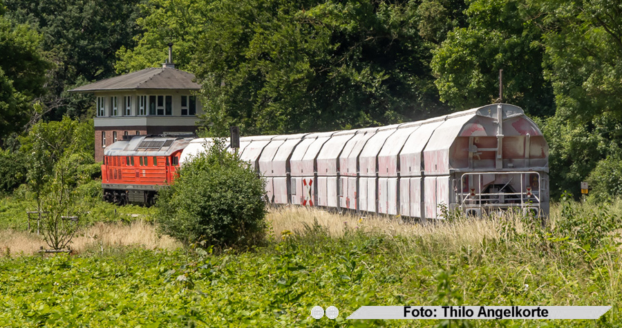 copyright: Thilo Angelkorte