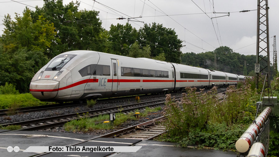 copyright: Thilo Angelkorte