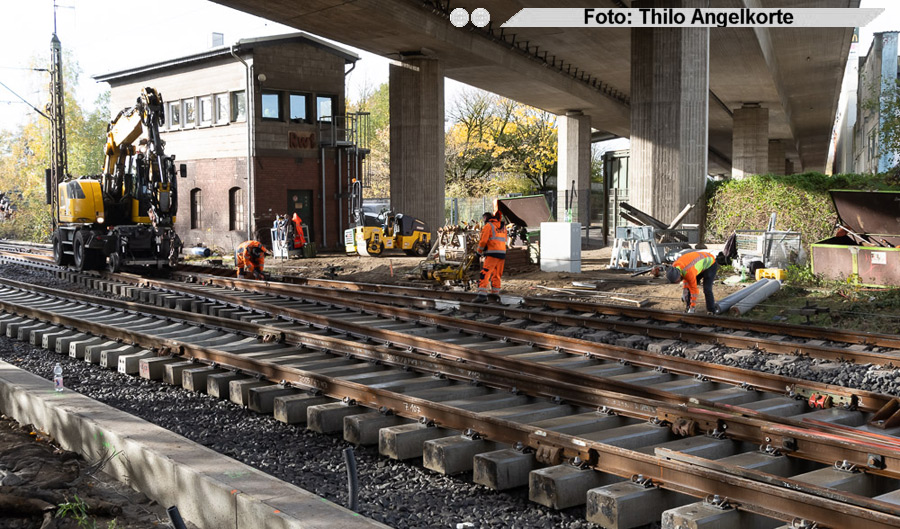 copyright: Thilo Angelkorte