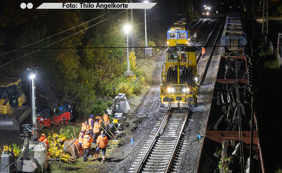 copyright: Thilo Angelkorte