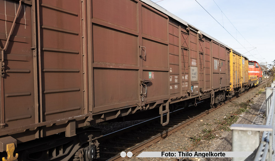 copyright: Thilo Angelkorte