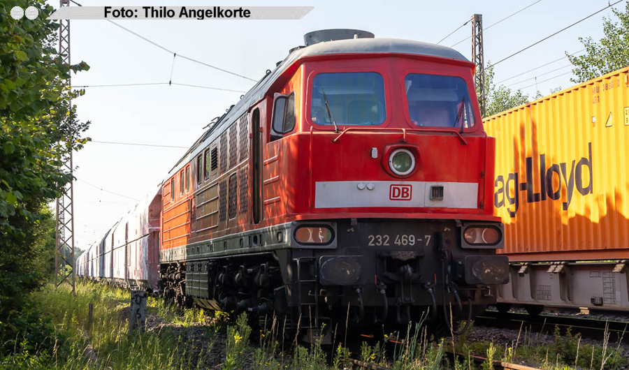 copyright: Thilo Angelkorte
