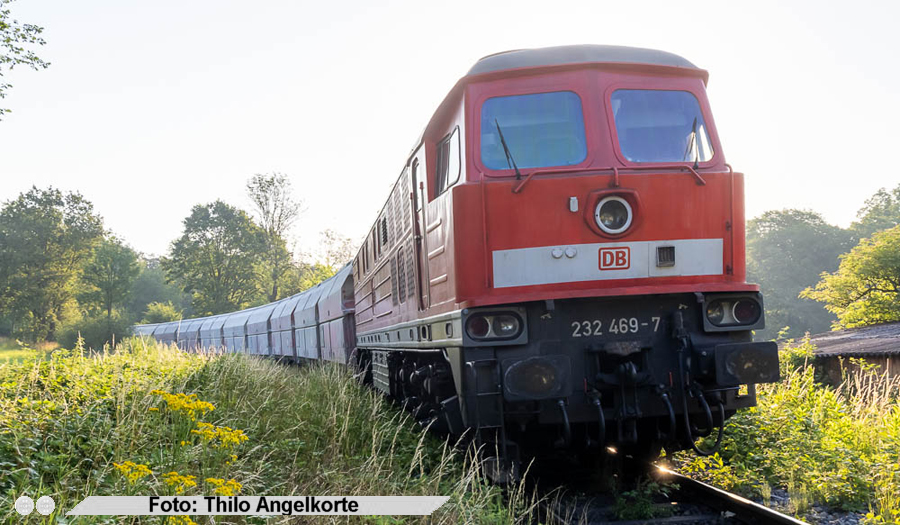 copyright: Thilo Angelkorte