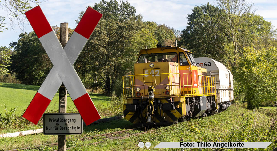 copyright:&nbsp;Thilo Angelkorte