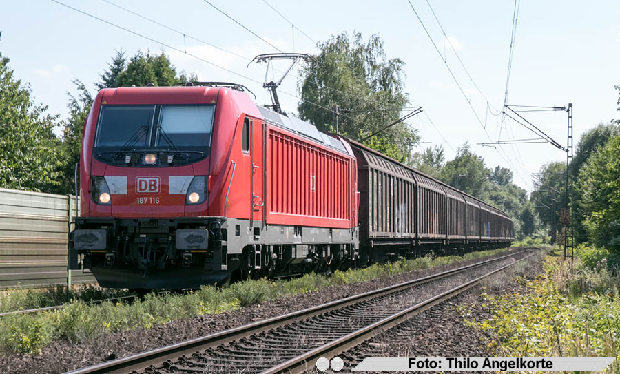 copyright:&nbsp;Thilo Angelkorte